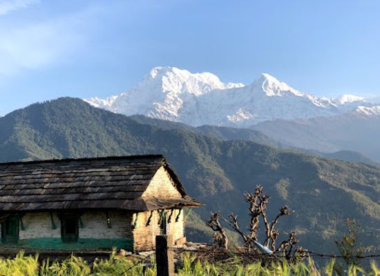 nepal/poon-hill/restaurant/northface-viewpoint-restaurant