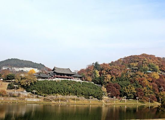 south-korea/yeongnam-region/restaurant/yeongnamnu