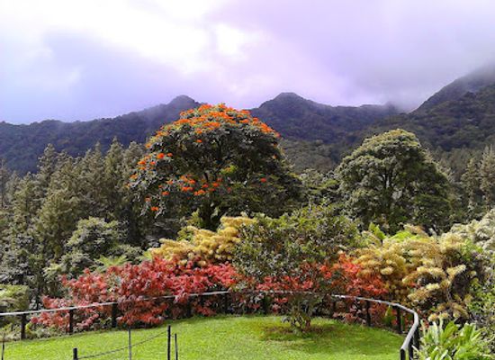 saint-vincent-and-the-grenadines/dark-view-falls/restaurant/happy-island