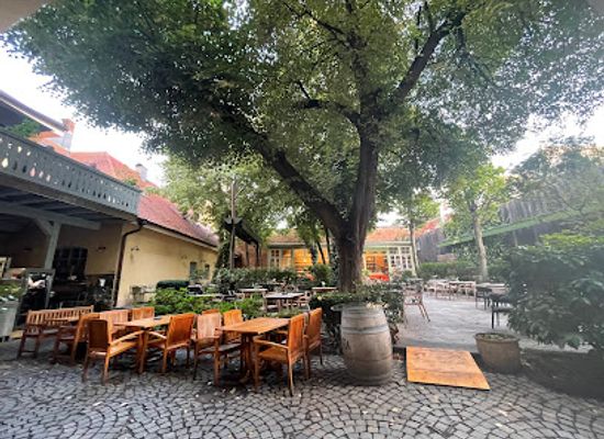 romania/wallachia/restaurant/boema-house