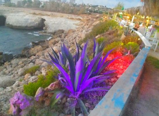 cyprus/adonis-baths-waterfalls/restaurant/sea-caves-restaurant