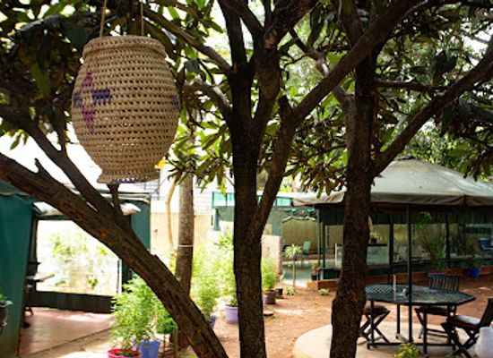 kenya/coastal-region/restaurant/nyumbani-restaurant