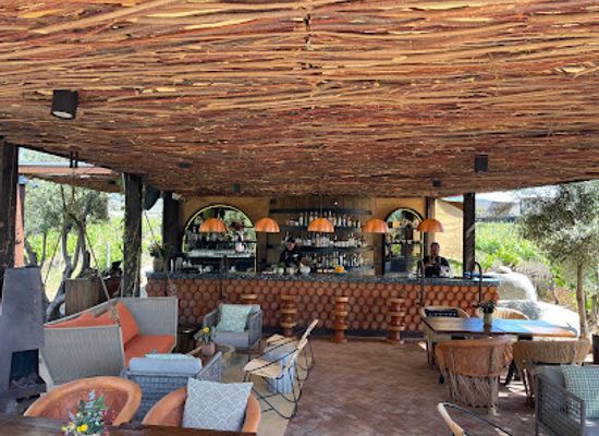 mexico/baja-california-peninsula/restaurant/animalon