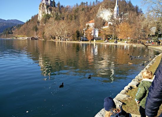 slovenia/triglav-national-park/restaurant/gostilna-batist-tomaz-zupan-s-p