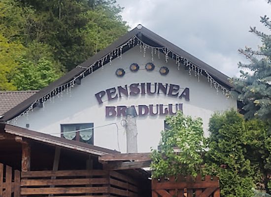 romania/rodnei-mountains/restaurant/pensiunea-bradului-4