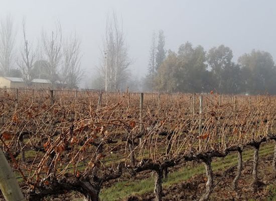 argentina/mendoza-wine-region/restaurant/terrazas-de-los-andes