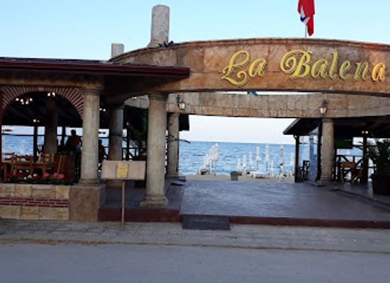 bulgaria/golden-sands/restaurant/la-balena