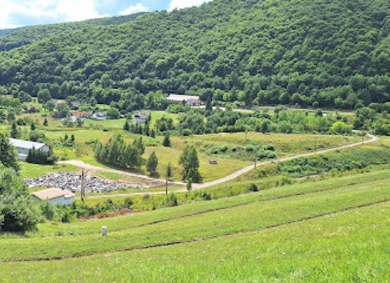 romania/harghita/restaurant/sweet-harmony