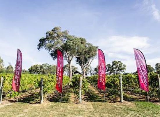 australia/canberra/restaurant/four-winds-vineyard