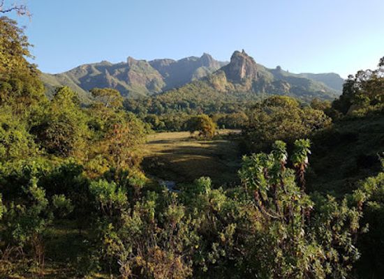 ethiopia/bale-mountains-national-park/restaurant/bale-mountains