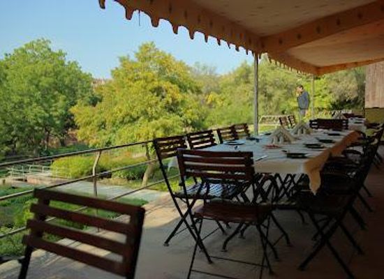 india/jodhpur/restaurant/chokhelao-garden-and-terrace-restaurant