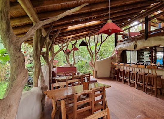 ecuador/northern-sierra/restaurant/motmot-oasis-restaurante