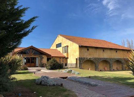 argentina/cuyo/restaurant/bodega-piattelli-vineyards