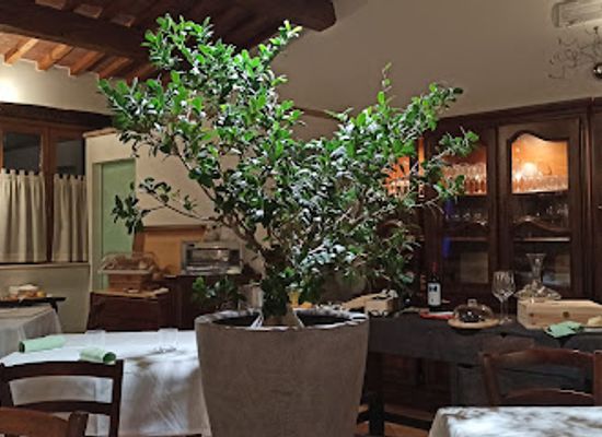 italy/marche/restaurant/bistrot-1962-valle-del-metauro-country-house