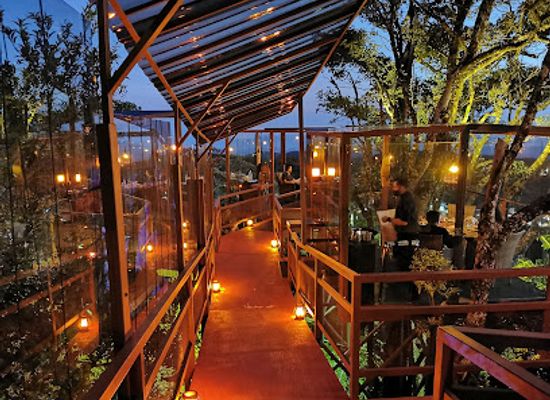 costa-rica/southern-zone/restaurant/san-lucas-treetop-dining-experience