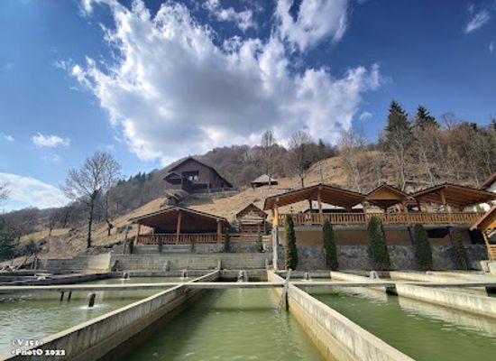 romania/rodnei-mountains/restaurant/pastravaria-rin-romuli