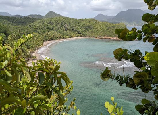 dominica/saint-mark/restaurant/batibou-beach