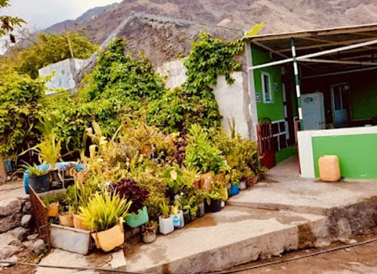 cabo-verde/santo-antao/restaurant/cafe-casa-verde