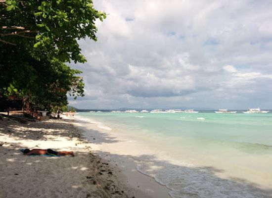 philippines/panglao-island/restaurant/bohol-coco-farm-s-palwa-restaurant