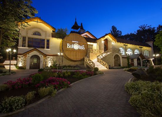 moldova/vatra/restaurant/butoias