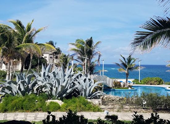 barbados/saint-philip/restaurant/the-carriage-house
