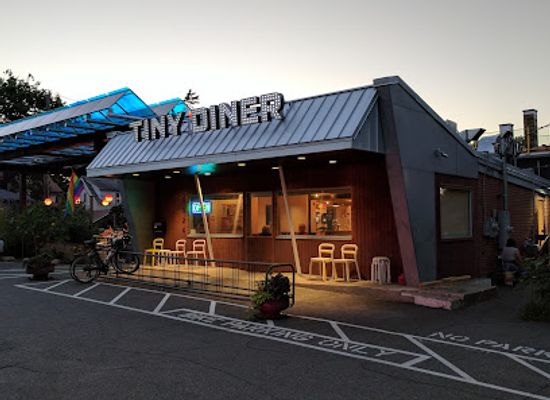 minnesota/southeastern-minnesota/restaurant/the-tiny-diner