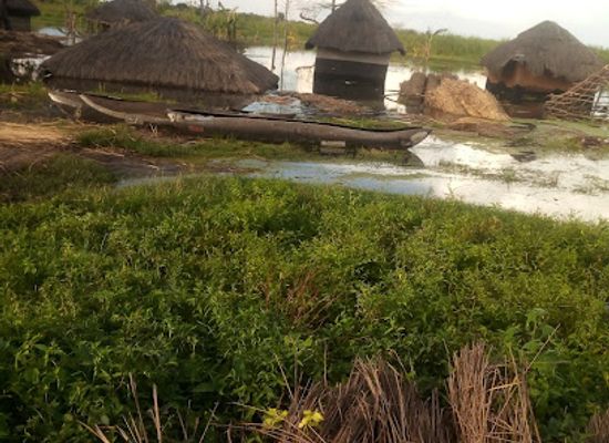 uganda/toro/restaurant/favour-restaurant-toroma