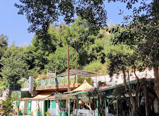 cyprus/troodos-mountains/restaurant/neraida-family-restaurant