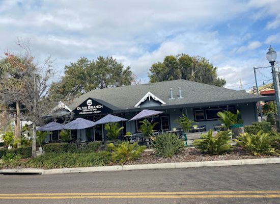 florida/mount-dora/restaurant/olive-branch-mediteranean-italian
