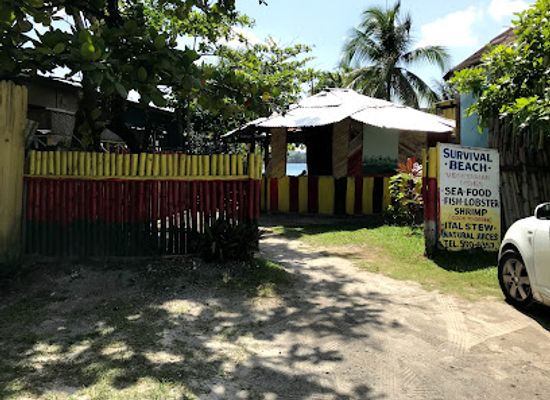jamaica/port-antonio-area/restaurant/survival-beach