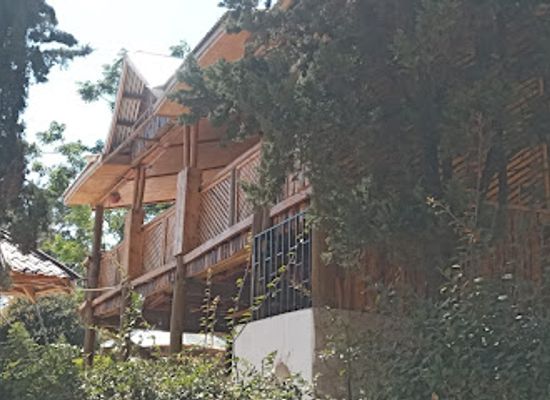 tanzania/iringa/restaurant/tutu-s-cafe-and-restro