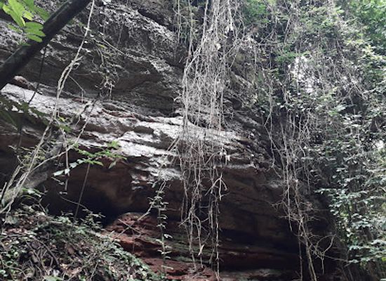 nigeria/awhum-waterfall/restaurant/entrance-to-ohum-waterfall-and-monastry