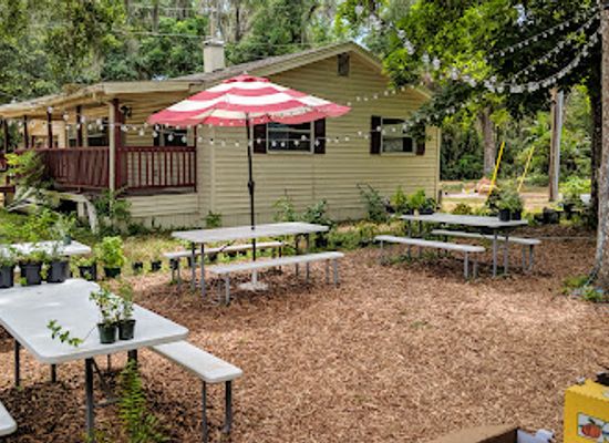 florida/juniper-springs-recreation-area/restaurant/odd-todd-s