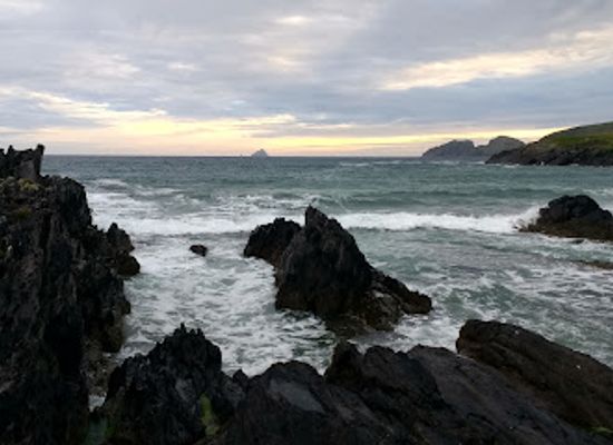 ireland/county-kerry/restaurant/driftwood-surf-cafe