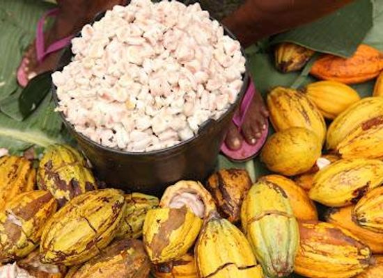 sao-tome-and-principe/neves/restaurant/claudio-corallo-cacao-caffe-sao-tome-e-principe
