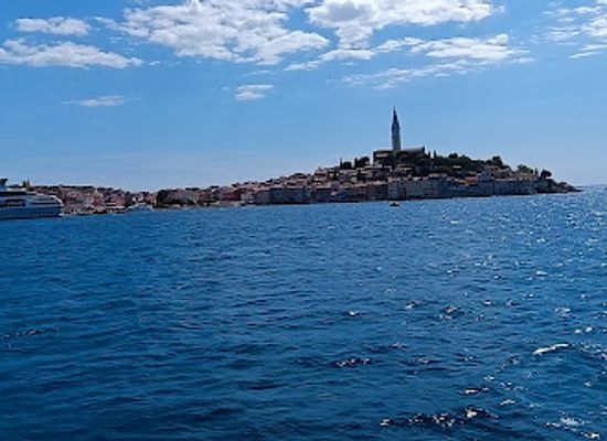 croatia/rovinj-riviera/restaurant/la-perla