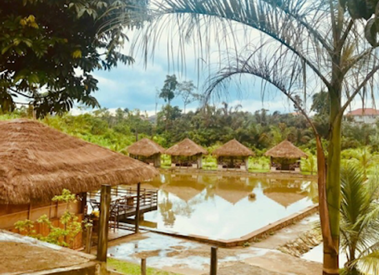 cameroon/centre-region/restaurant/minkan-peace-resort