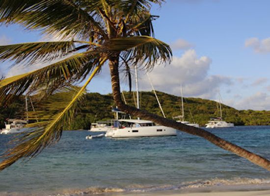 saint-vincent-and-the-grenadines/grenadines/restaurant/alphonso-s-lobster-bbq-tobago-cays