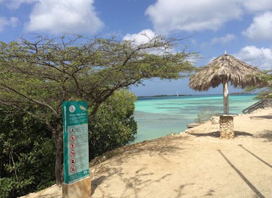 aruba/arikok-national-park/restaurant/marina-pirata-restaurant