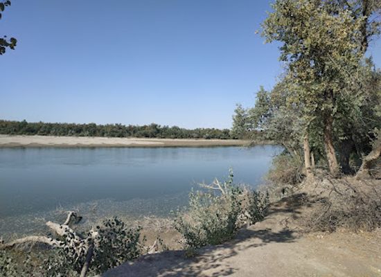 kazakhstan/syr-darya-basin/restaurant/syr-darya