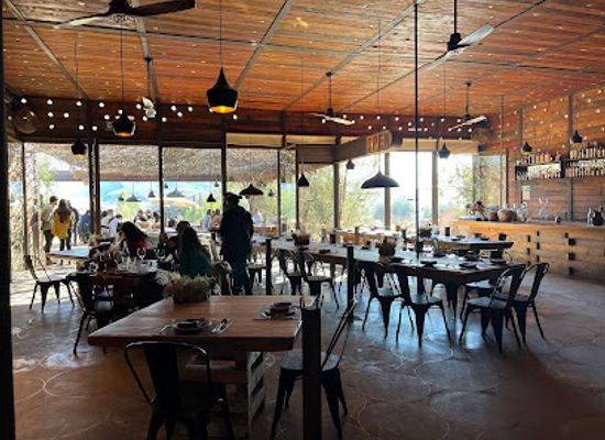 mexico/lacandon-jungle/restaurant/fauna