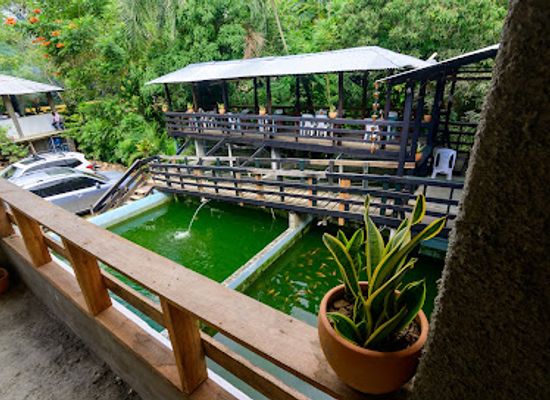 dominican-republic/los-haitises/restaurant/volviendo-al-campo