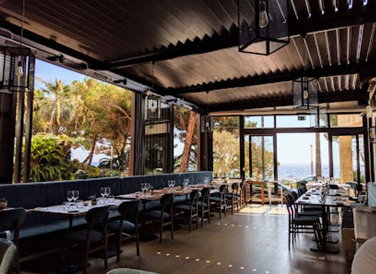 monaco/la-condamine/restaurant/avenue-31