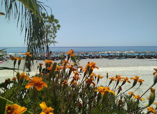 albania/dhermi-region/restaurant/bar-restaurant-2-lips