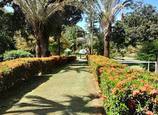 saint-vincent-and-the-grenadines/saint-george/restaurant/botanical-gardens