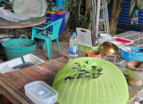 thailand/doi-inthanon/restaurant/inthanon-bird-center
