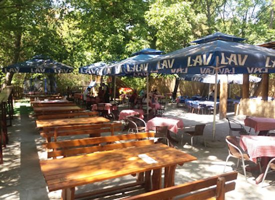 serbia/stara-planina-mountain/restaurant/stara-planina