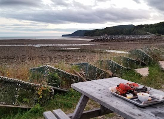 canada/fundy-national-park/restaurant/alma-lobster-shop