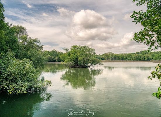 singapore/sungei-buloh-wetland-reserve/restaurant/main-bird-observation-hide-1a