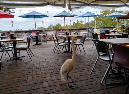 florida/nature-coast/restaurant/bayport-inn